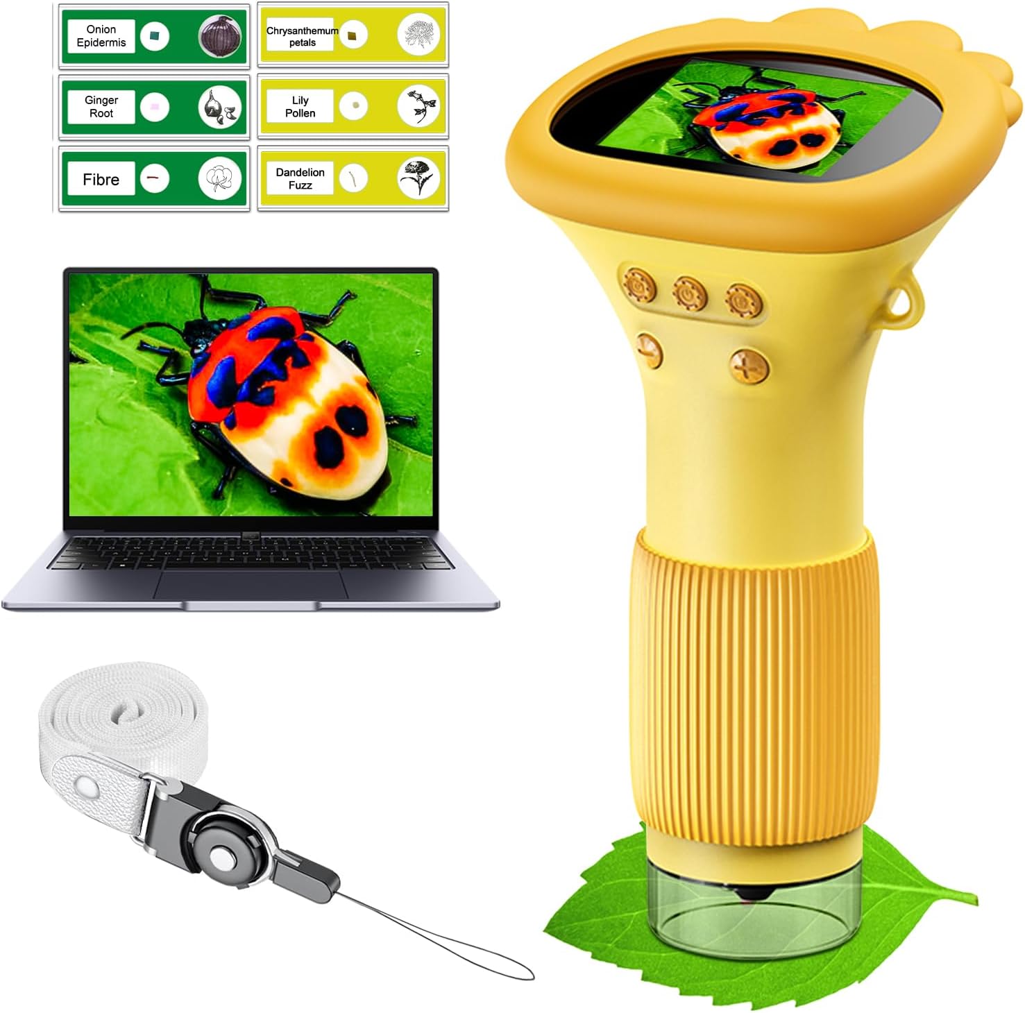 Branded Children Electron Microscope USB Charging Microscope 1000x With LED Photo And Video Function Educational Toys Science For Kids